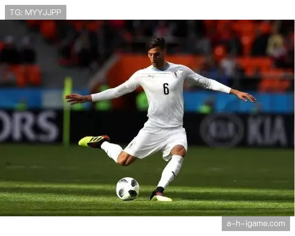 本坦库尔世界杯表现