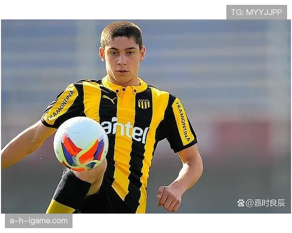 巴尔韦德:从蓝领中场到关键先生的角色蜕变解析